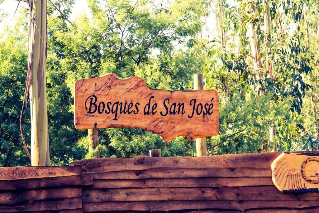 Business image 1